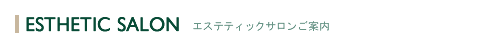 �G�X�e�e�B�b�N�T�������ē�