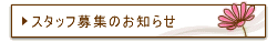 �l�� ���e�� �G�X�e �X�^�b�t��W�̂��m�点