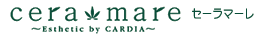 �Z�[���}�[���@�G�X�e�e�B�b�N�T�����X�܂��ē�