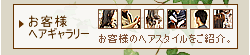 ���q�l�̃w�A�X�^�C�������Љ�