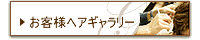 ���q�l�w�A�M�������[
