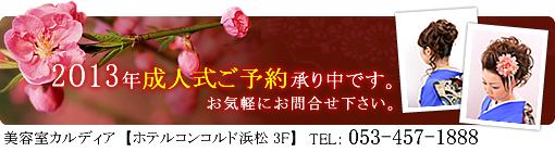 2013�N���l�����\�񏳂蒆�ł��B���C�y�ɂ��⍇���������B